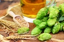 bersch-umends_brauhaus_01tuHDpnF3M9fx3