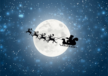 Wild Christmas