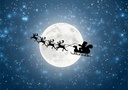 Wild Christmas