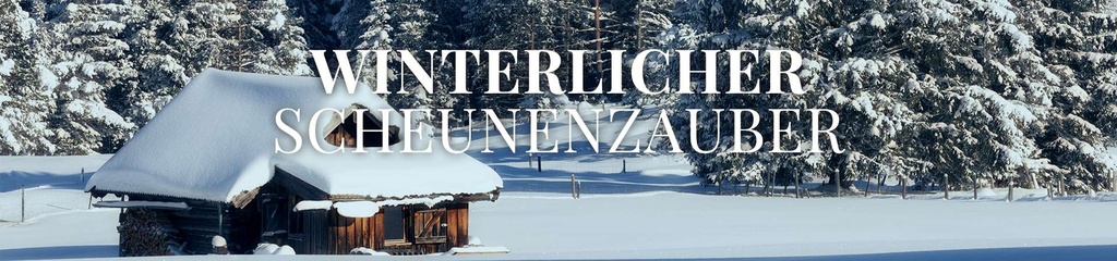 Winterlicher Scheunenzauber