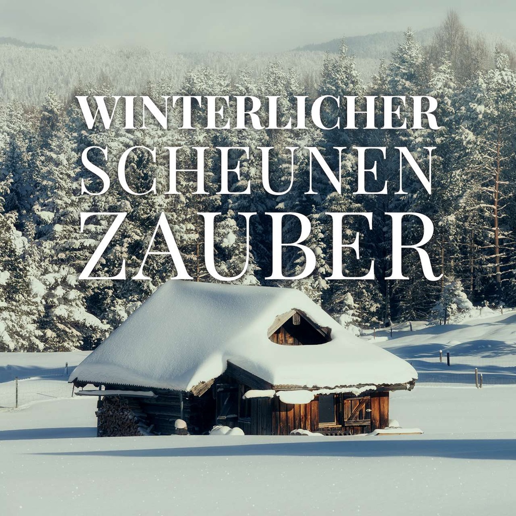 Winterlicher Scheunenzauber